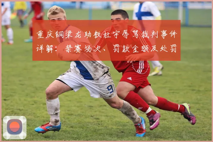重庆铜梁龙助教杜宇辱骂裁判事件详解：禁赛场次、罚款金额及处罚依据