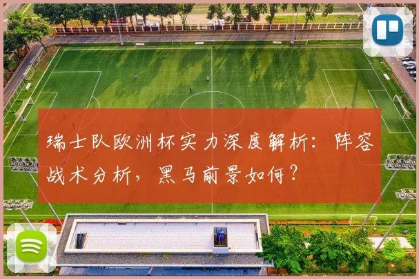瑞士队欧洲杯实力深度解析：阵容战术分析，黑马前景如何？