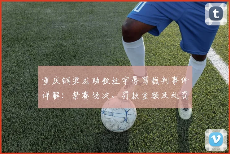 重庆铜梁龙助教杜宇辱骂裁判事件详解：禁赛场次、罚款金额及处罚依据